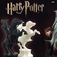IMG-20230320-WA0159.jpg Harry Potter - Chess Wizarding Figure 3D print model