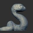 Snake-right.jpg Snake