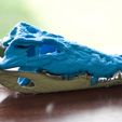 Croc_skull_3dprint.jpg Alligator Skull by Marco Valenzuela