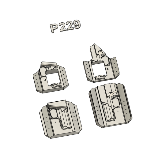 SIG P229 OWB Holster Mold Cant Right Hand
