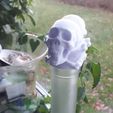 9d215b081c8c33efc4b208527354747c_preview_featured.jpg Poison Skulls (corrected)