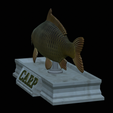 carp-statue-14.png fish carp / Cyprinus carpio statue detailed texture for 3d printing