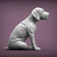 Fila-Brasileiro-puppy3.jpg Fila Brasileiro puppy 3D print model