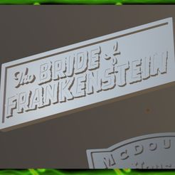IMG_6459.jpg Fichier STL PLAQUE D'IDENTIFICATION DE LA MARIÉE DE FRANKENSTEIN PLAQUE D'IDENTIFICATION POUR AIMANTS, KITS DE MODÉLISME ET BUSTES・Design pour impression 3D à télécharger