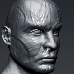 12.jpg STL file Sculpt Inspired by Kabal from MK 11・3D printer design to download