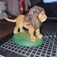 Lion1.jpg Lion