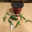 ManEatingPlants_Parts.jpg Personalizable Hombre Comiendo Planta