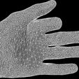8-27-2012-8.23.34_PM9-10-2013-6.57.49_AM.jpg fingerlonger project - The Scanned Hand - prosthetic model