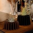 image_3.jpg Air Plant Stand