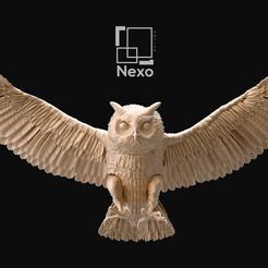 50F36942-9072-4020-8308-3B7C6F722FBD.jpeg Fichier STL OWL (BUHO)・Design imprimable en 3D à télécharger
