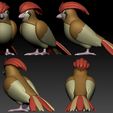 00.jpg Pidgey Evolution Pack