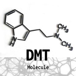 DMTtext.jpg DMT Molecule