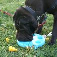 Beatriz1.jpg STL file Dog's game・3D printing design to download
