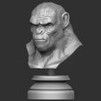 8.JPG OBJ file Koba Monkey・3D print model to download, Bstar3Dart