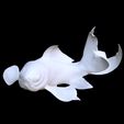 WIRE.jpg GOLDFISH Guppy Blue Grass FISH TOAD AMPHIBIAN TADPOLE ANIMAL ANATOMY 3D MODEL WATER OCEAN RIVER BOAT SALMON SHARK