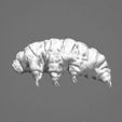 side.jpg Tardigrade