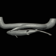 pstruh-30.png rainbow trout underwater statue on the wall detailed texture for 3d printing