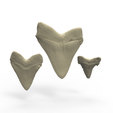 0_17.png PACOTE 3 DENTE DE TUBARÃO MEGALODON - DIGITALIZAÇÃO 3D
