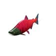 12.jpg SALMON - Fish 3D MODEL - Coral Fish Goby