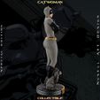evellen0000.00_00_04_10.Still009.jpg Catwoman Grey Bodysuit - Collectible Edition