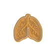 Lungs.png Body Organs Cookie Cutter Set of 6