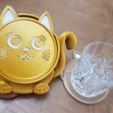 cat-holder-in-hand-and-cup.jpeg Cat Coasters