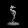 Sea_Horse.JPG Misc. Creatures for Tabletop Gaming Collection