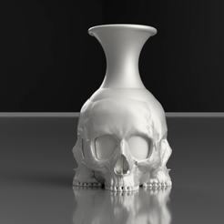 skullrender1.png Skull Vase
