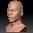 3.jpg Nelly bust for 3D printing