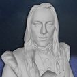 15.jpg Lucius Malfoy Harry Potter Figure Custom 3D Print Model 3D print model