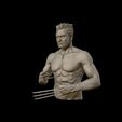 24.jpg Hugh Jackman 3D print model