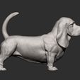 basset-hound13.jpg basset hound 3D print model