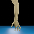 0010.png Anatomia do músculo do braço humano Modelo 3D | Estrutura realista do antebraço e da mão | Modelo de estudo anatómico