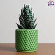 4.jpg Vaso para plantas com padrão de nervuras de diamante