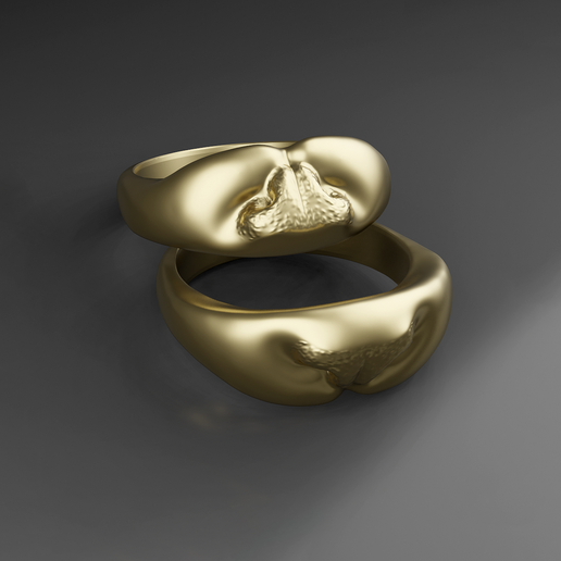 Ring cat nose 3D model