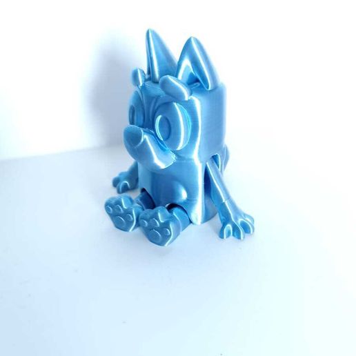 WhatsApp-Image-2023-03-08-at-9.41.23-AM-2.jpeg Joli chien bleu