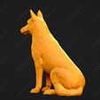 1683-Belgian_Shepherd_Dog_Malinois_Pose_04.jpg Belgian Shepherd Dog Malinois Dog 3D Print Model Pose 04