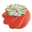 E20150506_145322.jpg Onion Planter