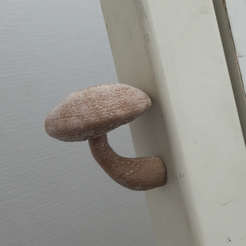 Capture_d__cran_2015-09-30___11.29.25.png Free STL file magnet mushroom 1・3D printable design to download