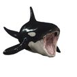 1.jpg ORCA Killer Whale Dolphin FISH sea CREATURE 3D ANIMATED RIGGED MODEL