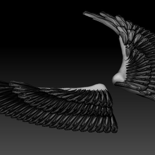 STL file WINGS 🐦 ・Model to download and 3D print・Cults