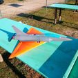 IMG_20220108_104642_828.jpg Mirage 2000 B flying RC MODEL