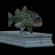Bass-mount-statue-7.png fish Largemouth Bass / Micropterus salmoides open mouth statue detailed texture for 3d printing