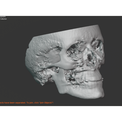 Diseño-sin-título-4.png Free 3D file Skull for modeling・Design to download and 3D print