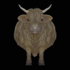 IMG_0150.jpeg STL file Highland kettle・3D print model to download