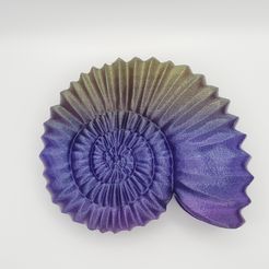 aquakedaly — STL-Datei Ammonit・3D-druckbare Vorlage zum herunterladen