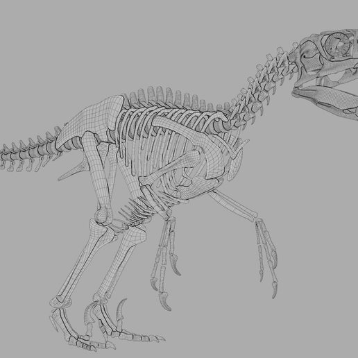 💀 Utahraptor Skeleton – Detailed Prehistoric Raptor Model for 3D ...