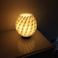 IMG_20200321_103052.jpg STL file Design flower lamp・3D print object to download