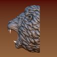 11.jpg Lion head