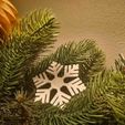 a0966bad-6a98-48ce-a429-33f157f5bac5.JPG 14 types of snowflake tree decorations